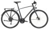 Trek FX 2 DISC EQ XL Satin Lithium Grey