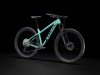 Trek Roscoe 7 M Miami Green/Trek Black