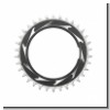 Kettenblatt SRAM T-Type,12-f, XXSL Eagle